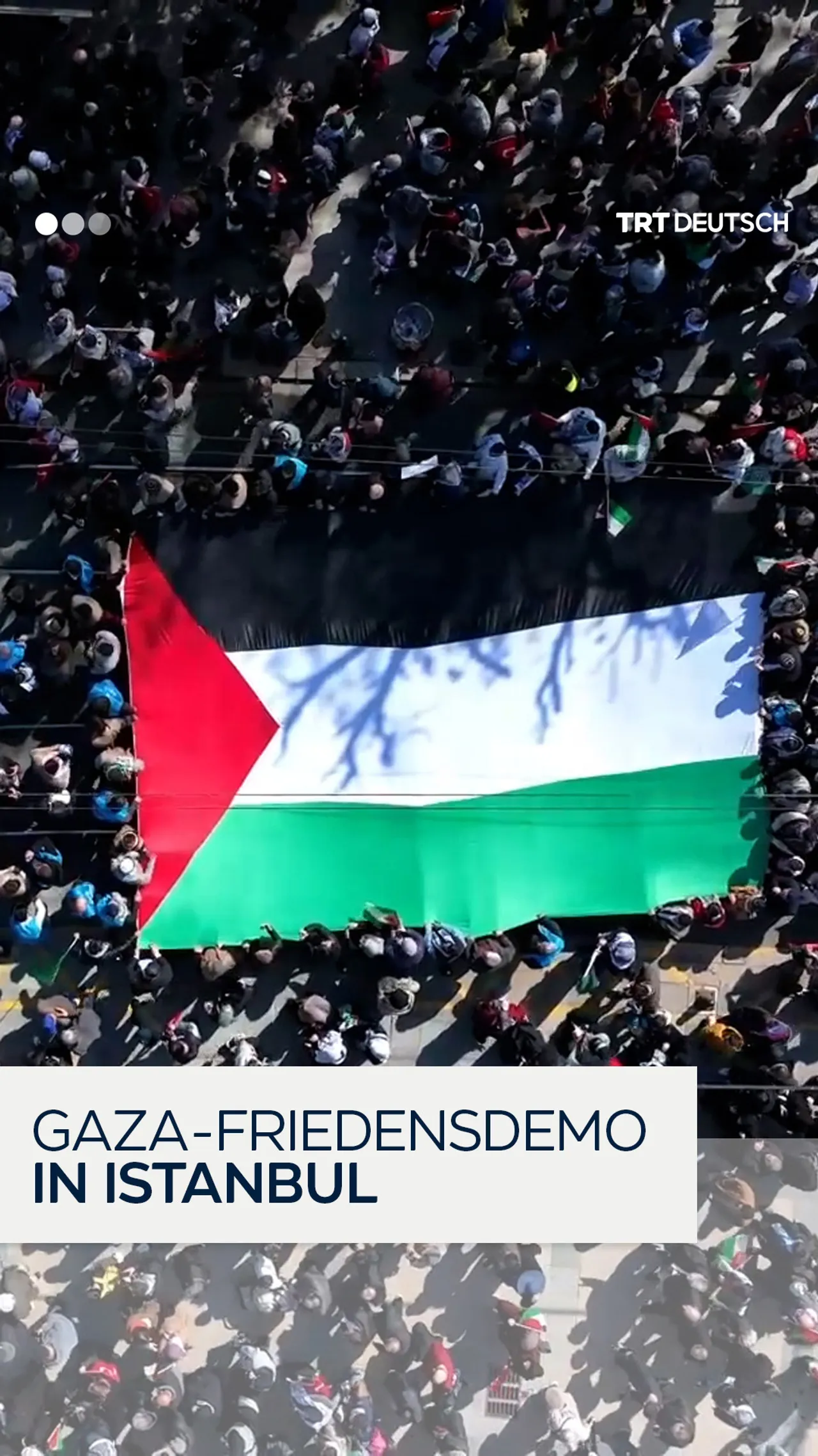 Gaza-Friedensdemo
in Istanbul